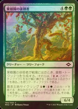 画像1: [FOIL] 果樹園の徘徊者/Orchard Strider 【日本語版】 [MH2-緑C]