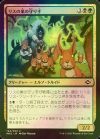 [FOIL] リスの巣の守り手/Drey Keeper 【日本語版】 [MH2-金C]