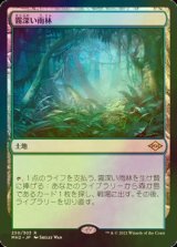 [FOIL] 霧深い雨林/Misty Rainforest 【日本語版】 [MH2-土地R]