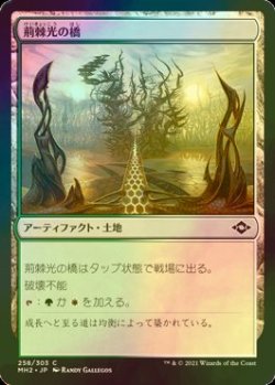 画像1: [FOIL] 荊棘光の橋/Thornglint Bridge 【日本語版】 [MH2-土地C]