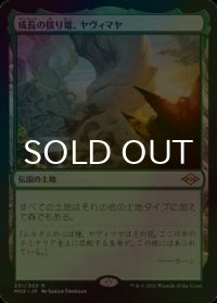 [FOIL] 成長の揺り篭、ヤヴィマヤ/Yavimaya, Cradle of Growth 【日本語版】 [MH2-土地R]