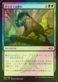 [FOIL] 狩り立てる群れ/Hunting Pack 【日本語版】 [MH2-緑U]