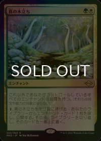 [FOIL] 真の木立ち/Sterling Grove 【日本語版】 [MH2-金R]