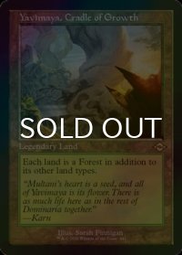 [FOIL] 成長の揺り篭、ヤヴィマヤ/Yavimaya, Cradle of Growth (旧枠・海外産ブースター版) 【英語版】 [MH2-土地R]