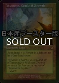 [FOIL] 成長の揺り篭、ヤヴィマヤ/Yavimaya, Cradle of Growth ● (旧枠・日本産ブースター版) 【英語版】 [MH2-土地R]