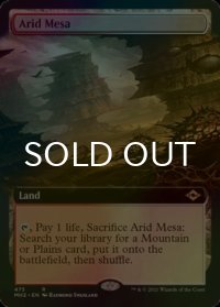 [FOIL] 乾燥台地/Arid Mesa (拡張アート版) 【英語版】 [MH2-土地R]