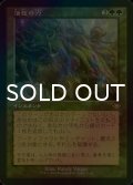 [FOIL] 活性の力/Force of Vigor (旧枠・海外産ブースター版) 【日本語版】 [MH1-緑R]
