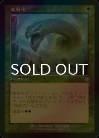 [FOIL] 厚鱗化/Scale Up (旧枠) 【日本語版】 [MH2-緑U]