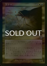 [FOIL] 魂寄せ/Soulherder (旧枠) 【日本語版】 [MH2-金U]