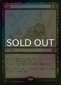 [FOIL] 頑強/Persist (スケッチ・海外産ブースター版) 【日本語版】 [MH2-黒R]