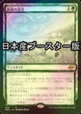 [FOIL] 新緑の命令/Verdant Command ● (スケッチ・日本産ブースター版) 【日本語版】 [MH2-緑R]