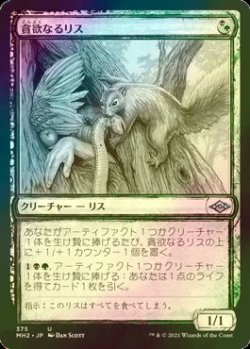 画像1: [FOIL] 貪欲なるリス/Ravenous Squirrel (ショーケース版) 【日本語版】 [MH2-金U]