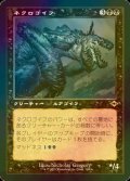 [FOIL] ネクロゴイフ/Necrogoyf (旧枠・海外産ブースター版) 【日本語版】 [MH2-黒R]