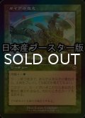 [FOIL] ガイアの意志/Gaea's Will ● (旧枠・日本産ブースター版) 【日本語版】 [MH2-緑R]