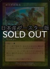 [FOIL] ガイアの意志/Gaea's Will ● (旧枠・日本産ブースター版) 【日本語版】 [MH2-緑R]