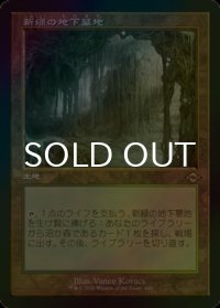 新緑の地下墓地/Verdant Catacombs (MH2/土地R/日/旧枠foil/NM) ※詳細要確認
