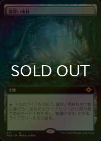 [FOIL] 霧深い雨林/Misty Rainforest (拡張アート版) 【日本語版】 [MH2-土地R]