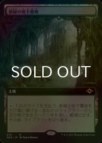 [FOIL] 新緑の地下墓地/Verdant Catacombs (拡張アート版) 【日本語版】 [MH2-土地R]