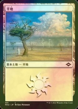 画像1: [FOIL] 平地/Plains No.481 【日本語版】 [MH2-土地C]