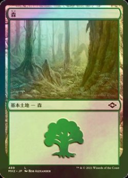 画像1: [FOIL] 森/Forest No.489 【日本語版】 [MH2-土地C]