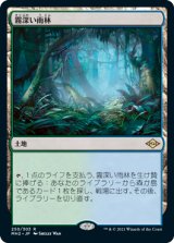 霧深い雨林/Misty Rainforest 【日本語版】 [MH2-土地R]