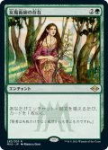女魔術師の存在/Enchantress's Presence 【日本語版】 [MH2-緑R]