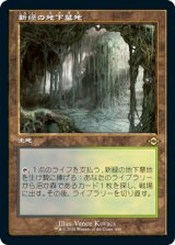 新緑の地下墓地/Verdant Catacombs (MH2/土地R/日/旧枠/NM) ※詳細要確認