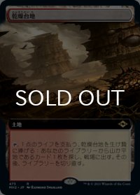 乾燥台地/Arid Mesa (拡張アート版) 【日本語版】 [MH2-土地R]