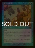 [FOIL] 激しい叱責/Dress Down (旧枠) 【日本語版】 [MH2-青R]