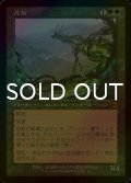 [FOIL] 忍耐/Endurance (旧枠) 【日本語版】 [MH2-緑MR]