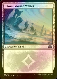 [FOIL] 冠雪の荒地/Snow-Covered Wastes 【英語版】 [MH3-土地U]