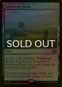 [FOIL] 吹きさらしの荒野/Windswept Heath 【英語版】 [MH3-土地R]