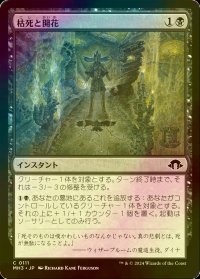 [FOIL] 枯死と開花/Wither and Bloom 【日本語版】 [MH3-黒C]