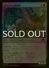 [FOIL] 日を浴びる繁殖鱗/Basking Broodscale 【日本語版】 [MH3-緑C]