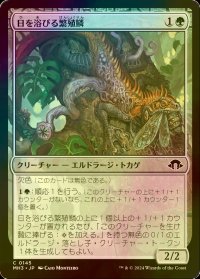[FOIL] 日を浴びる繁殖鱗/Basking Broodscale 【日本語版】 [MH3-緑C]