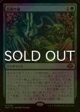 [FOIL] 出産の儀/Birthing Ritual (海外産ブースター版) 【日本語版】 [MH3-緑MR]