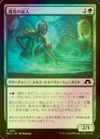 [FOIL] 進化の証人/Evolution Witness 【日本語版】 [MH3-緑C]