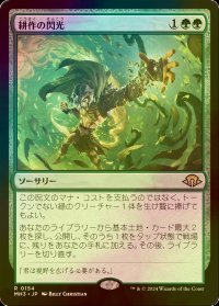 [FOIL] 耕作の閃光/Flare of Cultivation 【日本語版】 [MH3-緑R]