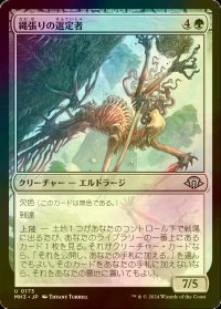 [FOIL] 縄張りの選定者/Territory Culler 【日本語版】 [MH3-緑U]