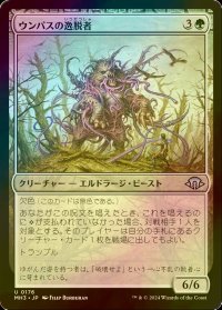 [FOIL] ウンパスの逸脱者/Wumpus Aberration 【日本語版】 [MH3-緑U]