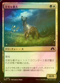 [FOIL] 忠実な番犬/Faithful Watchdog 【日本語版】 [MH3-金C]
