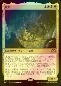 [FOIL] 屍花/The Necrobloom 【日本語版】 [MH3-金R]