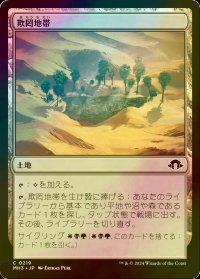 [FOIL] 欺罔地帯/Deceptive Landscape 【日本語版】 [MH3-土地C]