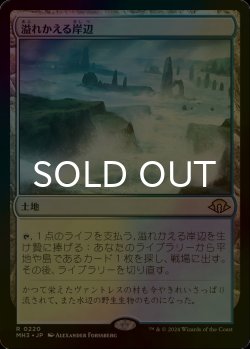 画像1: [FOIL] 溢れかえる岸辺/Flooded Strand 【日本語版】 [MH3-土地R]