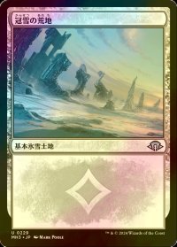[FOIL] 冠雪の荒地/Snow-Covered Wastes 【日本語版】 [MH3-土地U]