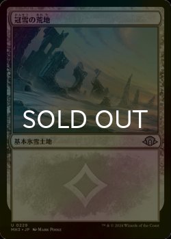 画像1: [FOIL] 冠雪の荒地/Snow-Covered Wastes 【日本語版】 [MH3-土地U]