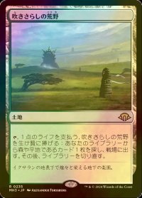 [FOIL] 吹きさらしの荒野/Windswept Heath 【日本語版】 [MH3-土地R]