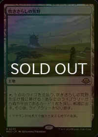 [FOIL] 吹きさらしの荒野/Windswept Heath 【日本語版】 [MH3-土地R]