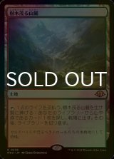 [FOIL] 樹木茂る山麓/Wooded Foothills 【日本語版】 [MH3-土地R]