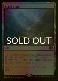 [FOIL] 樹木茂る山麓/Wooded Foothills 【日本語版】 [MH3-土地R]